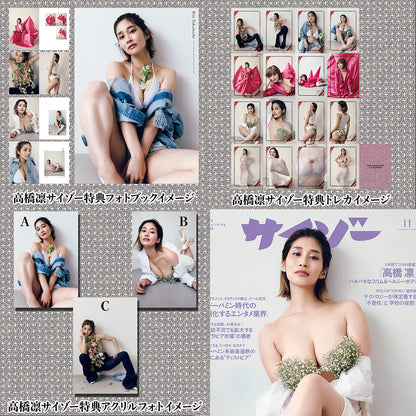 Ami Honami "Secret of the White Cat" Gravure Book & Acrylic Poster Set